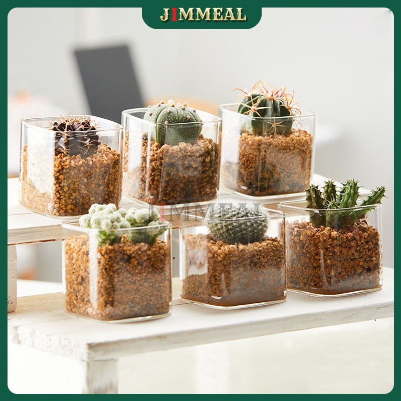 [Bao Vỡ] Chậu, Lọ Thủy Tinh Vuông Trồng Cây, Sen Đá, Xương Rồng Jimmeal Trong Suốt Để Bàn, Decor