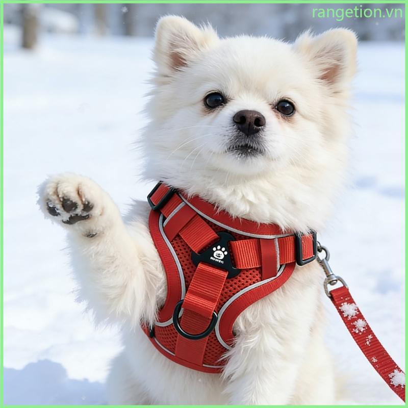 RAN Thông gió 3D Net Modifiable Pet Collar Meditative cho an ninh ban đêm
