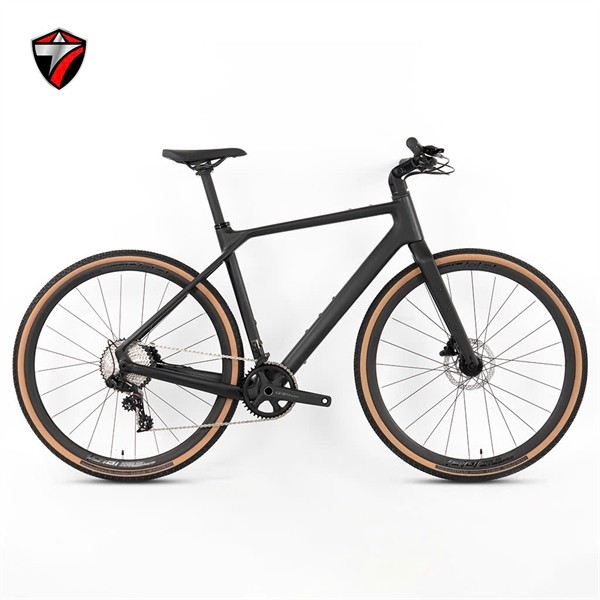 Xe đạp TW GRAVEL Sram NX11 Tay ngang