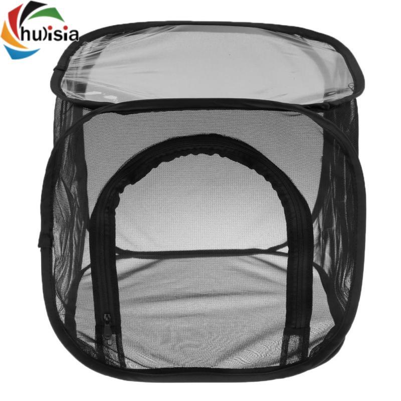 Habitat Monarch Bướm Lưới Lồng Terrarium -up Cao 12 "