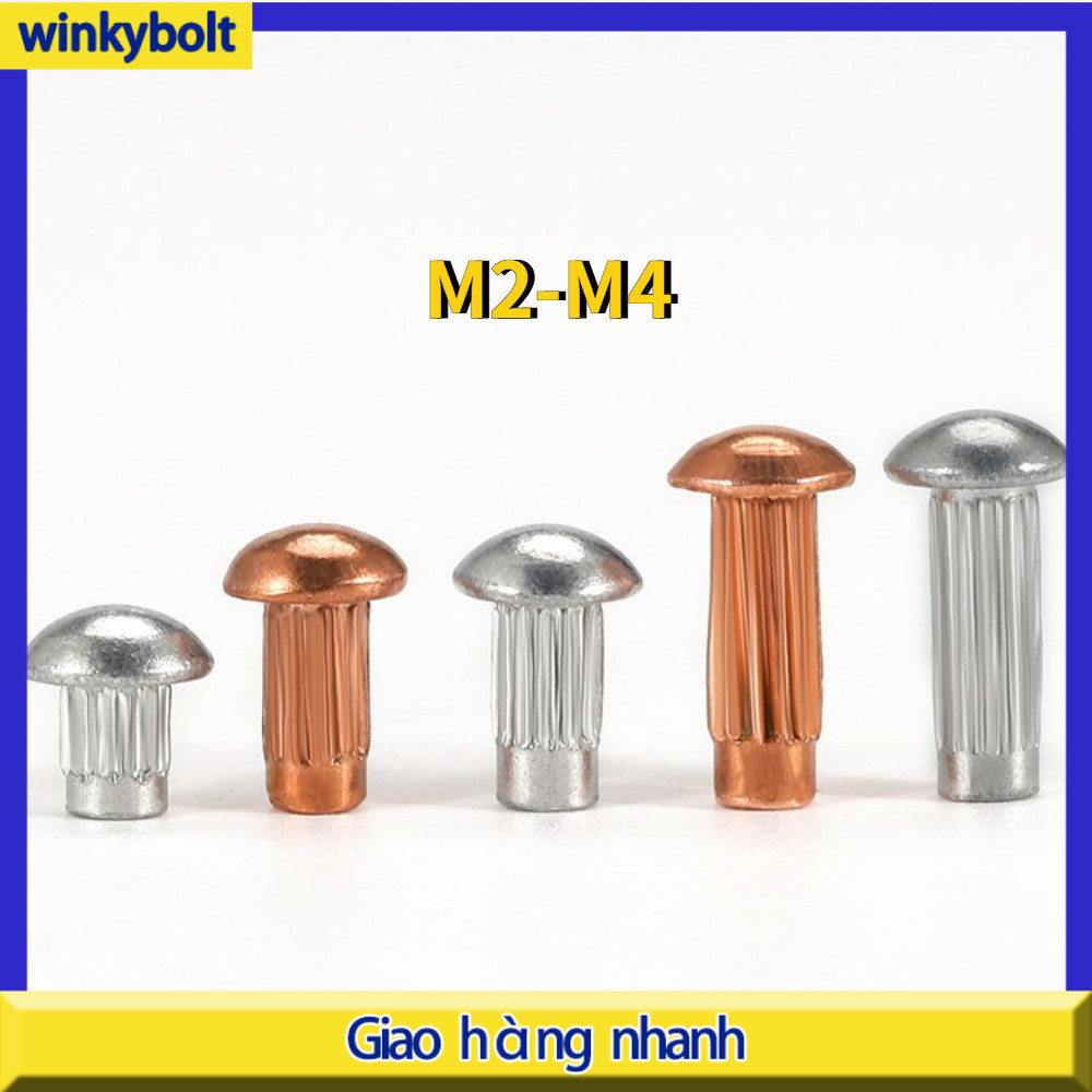 Đinh tán bảng tên inox 304 đầu bích / Đinh tán nhãn mác đầu to inox 304/ M2M2.5M3M4 【BoltGo】