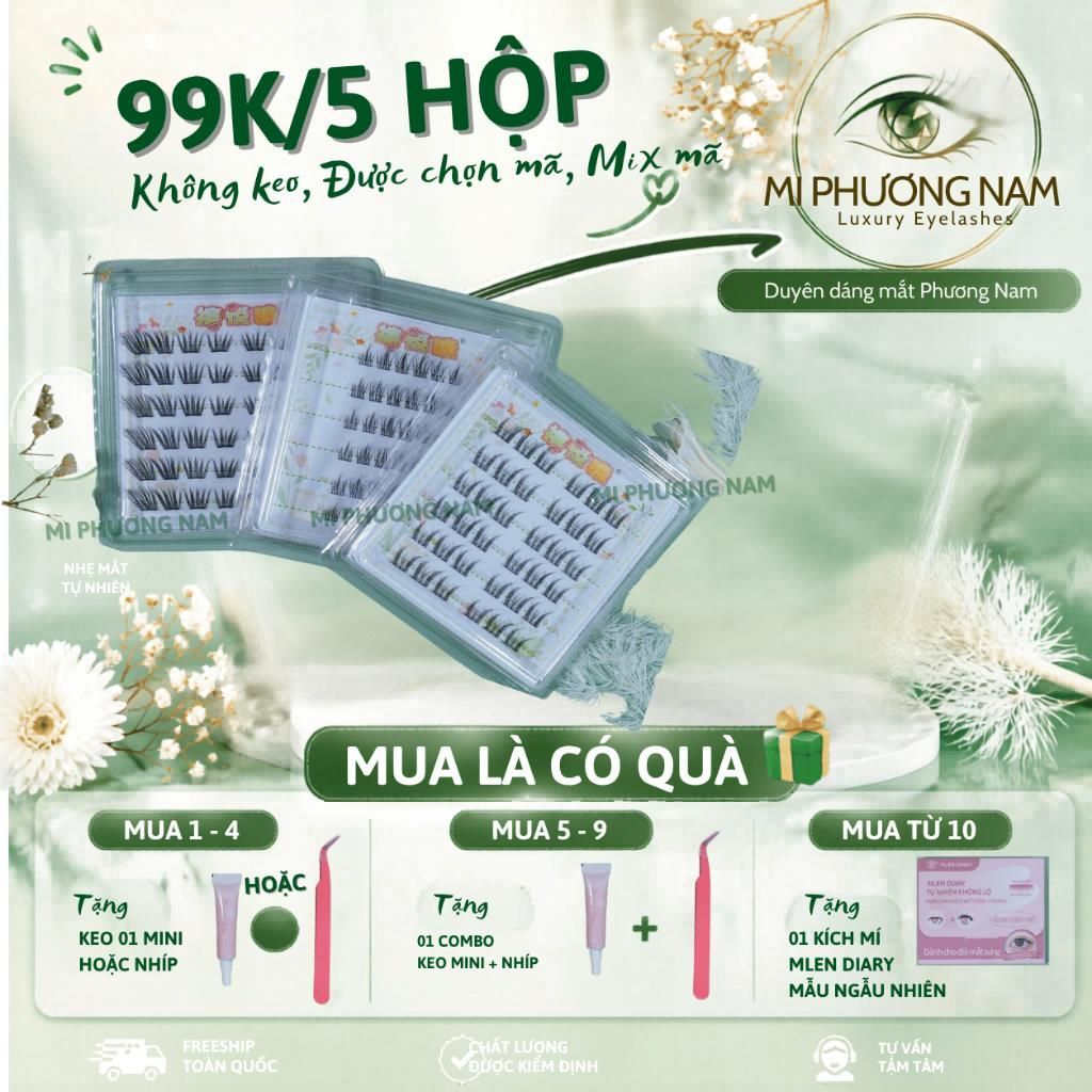 Mi 6 Hàng Không Keo - Combo 5 Hộp Chỉ 99K Tặng Keo + Nhíp, Được Chọn Mẫu | Mi Phương Nam