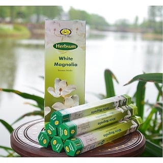 Nhang Thơm Ấn Độ, nhang Ấn Độ nhiều mùi, nhang trầm, nhang sạch Flute, Cycle [Combo 2 hộp nhỏ]
