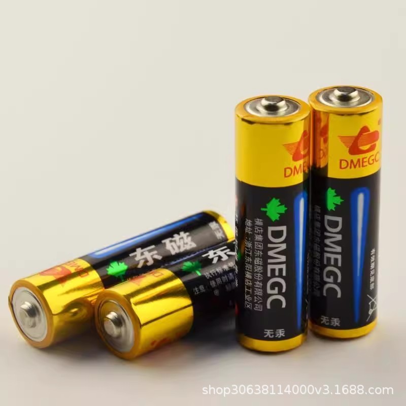 Dongmag DGEGC No. 5 Pin Alkaline LR6 AA Pin 1.5v Chuột Đồ Chơi Khóa Thông Minh Số. 5 Pin Khô