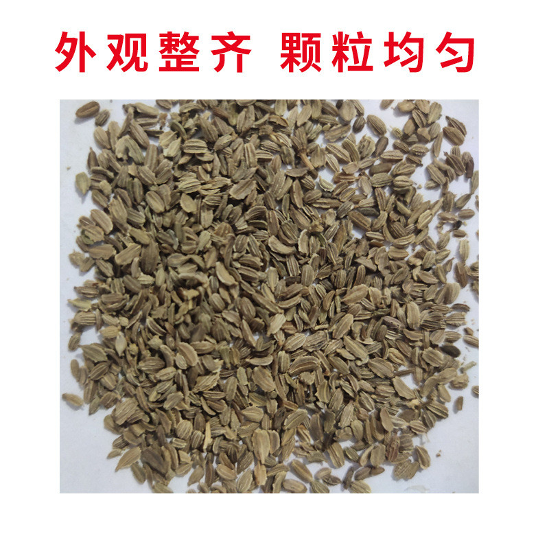 Mùa Thu Bên Trong Bên Ngoài Chuyến Đi Xanh Donkey Hạt Củ Cải Xanh Trái Cây Cát Tổ Xanh Củ Cải Hạt Ch
