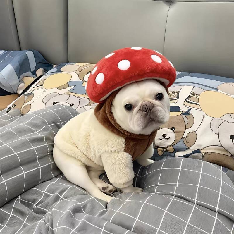 Cảm hứng Nấm Chó Mũ Đội Đầu Sáng Tạo Sang Trọng Mũ Thú Cưng Mùa Đông Mũ Ấm Áp Vui Vẻ Mũ Dễ Thương