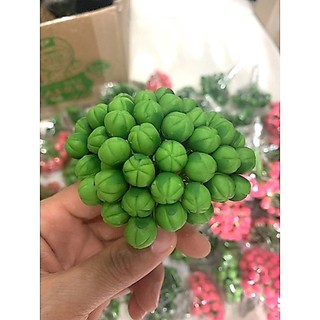 Nụ đào đất sét se chân( 1 bó 50 cái)
