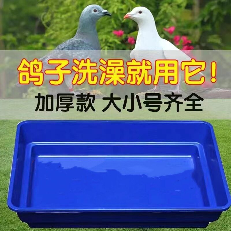 Đứng Bồn Tắm Chuyên Dụng Bồn Tắm Đứng Pigeon Racing Pigeon Lớn Pigeon Bộ Bồ Câu Bồn Tắm Pigeon Đồ Dù
