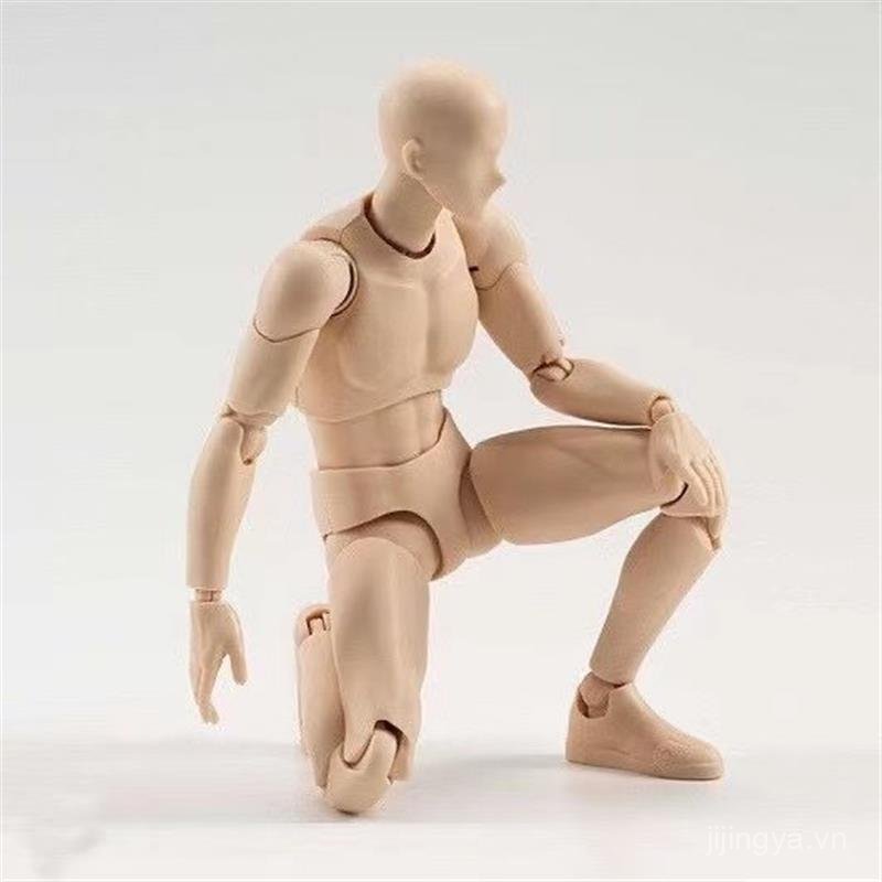 Sản phẩm mới SHF Body Doll Toàn Thân Khớp Di Chuyển Được figma Hình Mẫu Tranh Nghệ Thuật Phác Thảo N