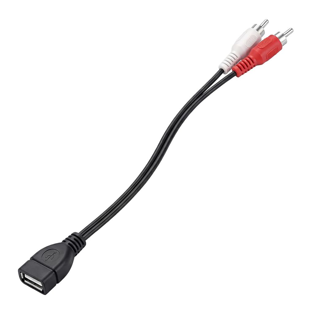 0.2M / 0.65FT USB sang 2 Cáp RCA USB A 2.0 Nữ sang 2 RCA Nam Jack Splitter Nam Y Splitter Audio Vide