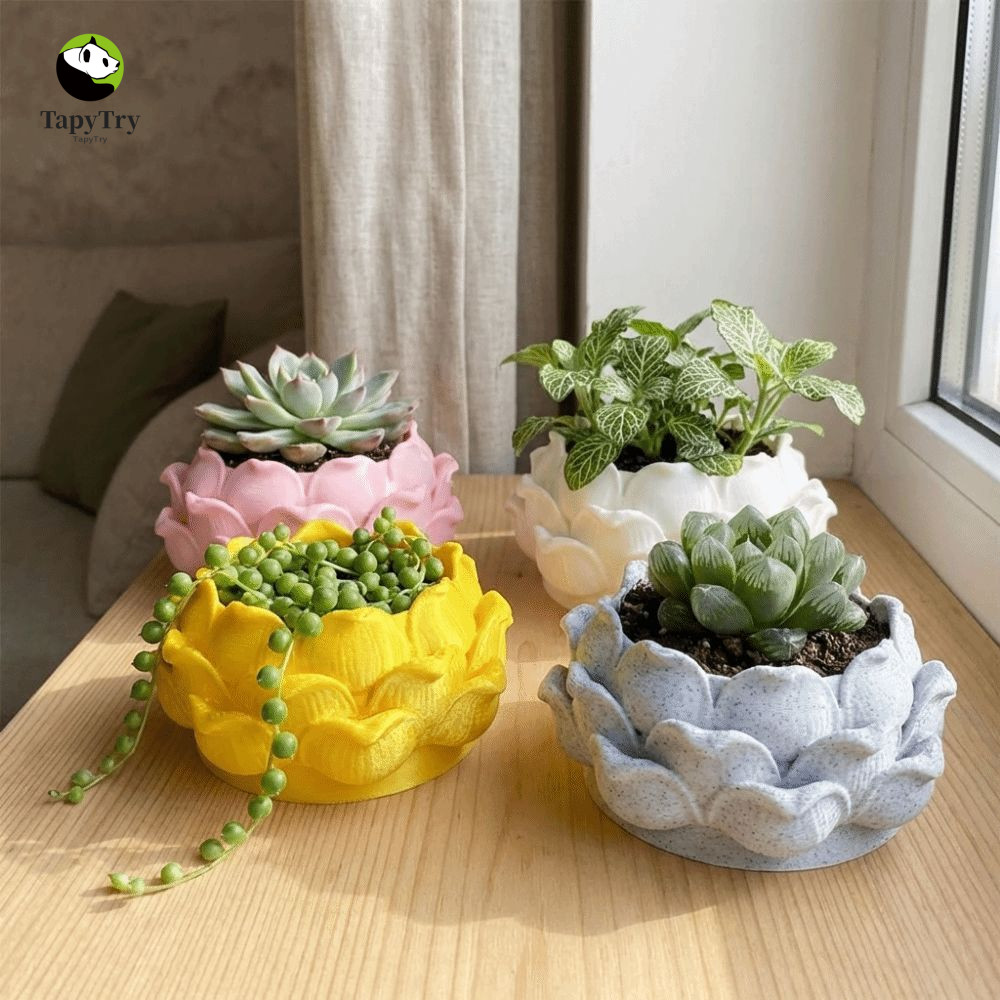 Chậu trồng ALISON, Bình hoa Chậu cây mọng nước hình sen, Chậu trang trí bằng nhựa có lỗ thoát nước H
