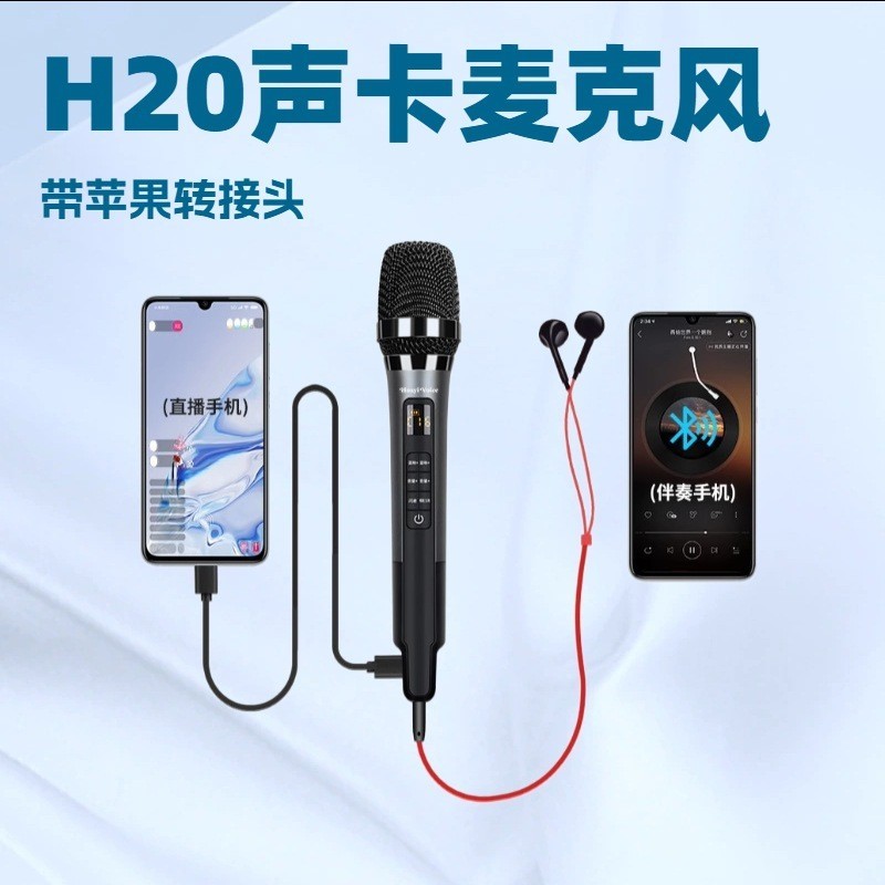 Huayi Sound H20 card âm thanh mic H20 micro card âm thanh tích hợp card âm thanh để hát