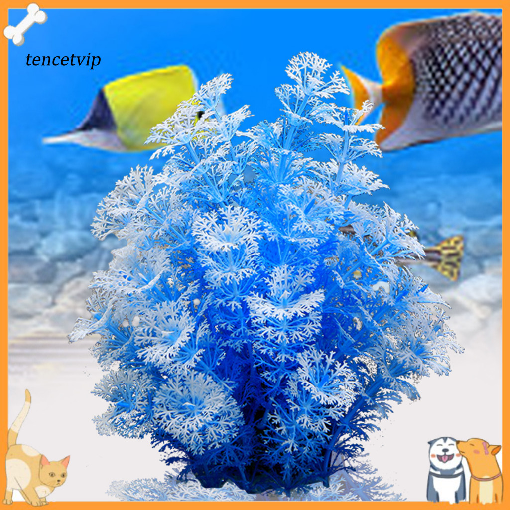 Vip Good Toughness Aquatics Plants Dễ dàng làm sạch