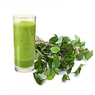 Bột Diếp Cá nguyên chất - Fish Mint