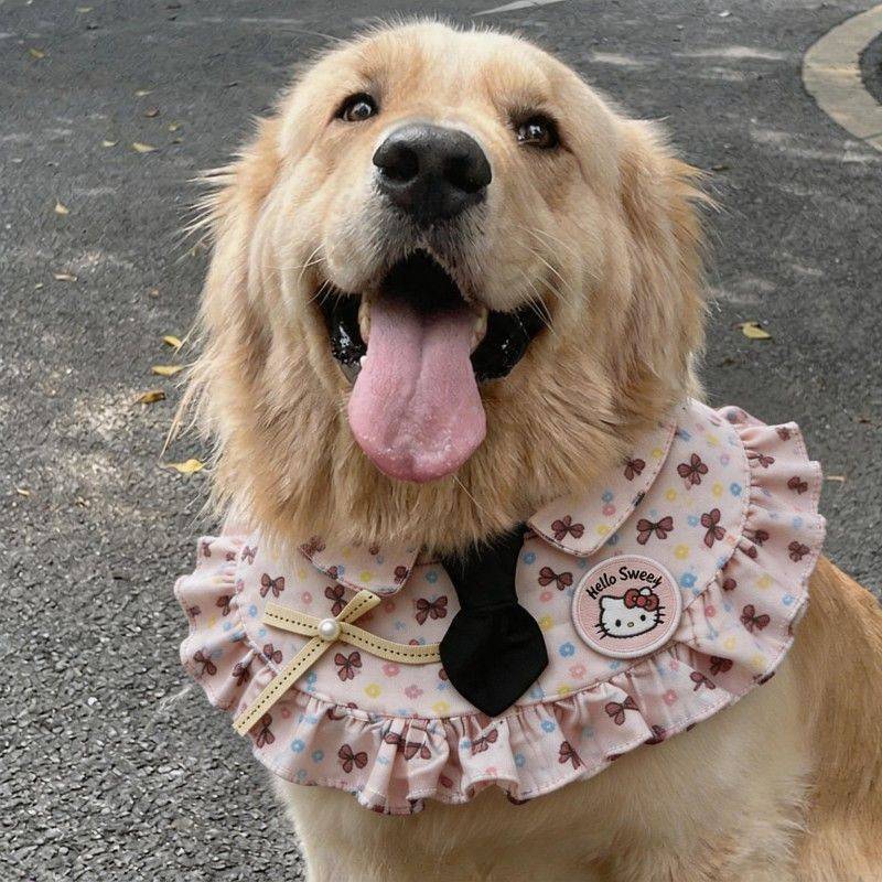 Pet Scarf Small, Medium and Large Dogs Spring and Summer Cartoon Bib Golden Retriever Samoyed Border
