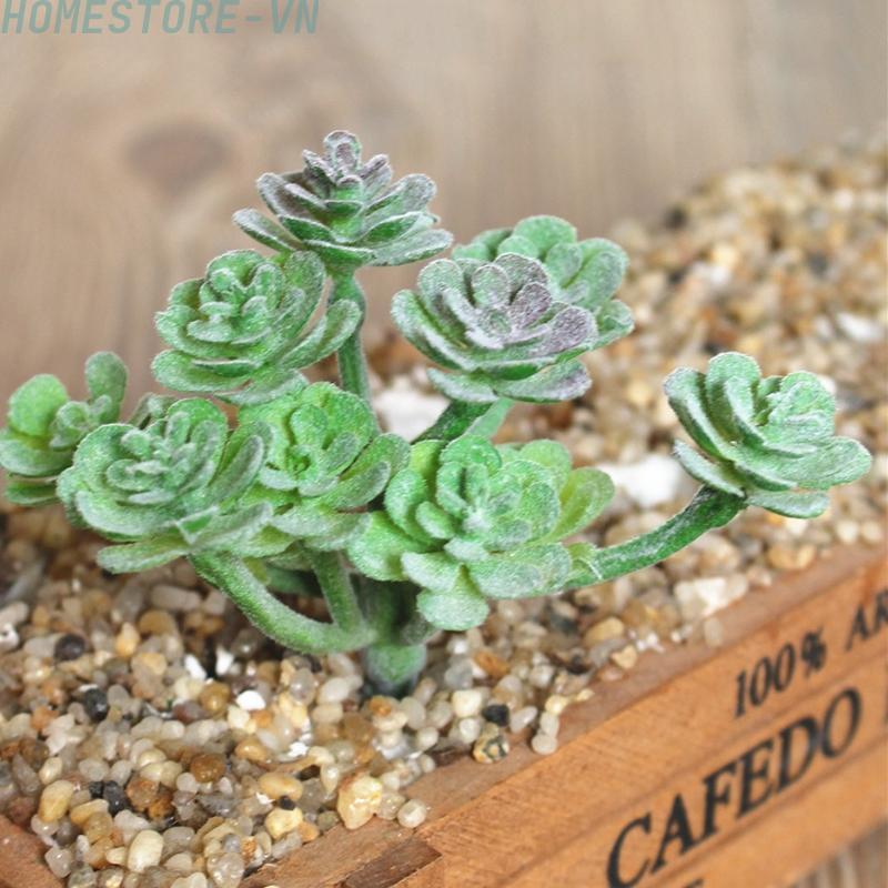 [Homestore]Mini Artificial Succulents Plant Fake Cactus Floral Craft Home Office Decor