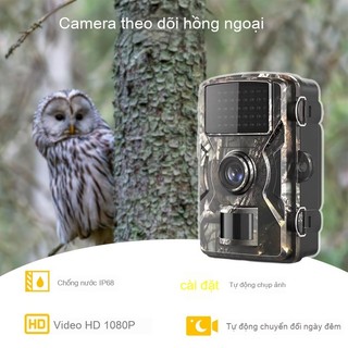 Camera HD ngoài trời Camera chống nước HD Giám sát hồng ngoại nhiệt IP66