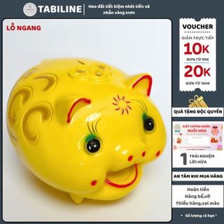  Heo đất ống tiết kiệm tiền lỗ ngang size đại to siêu cute đáng yêu đẹp LD05 - TABILINE 
