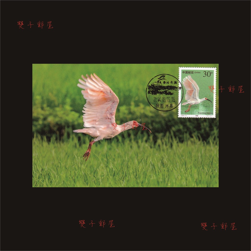 2000-3 Bảo vệ động vật hoang dã Zhuzhu Extreme Piece Sales Non-First Day Original Landscape Stamp
