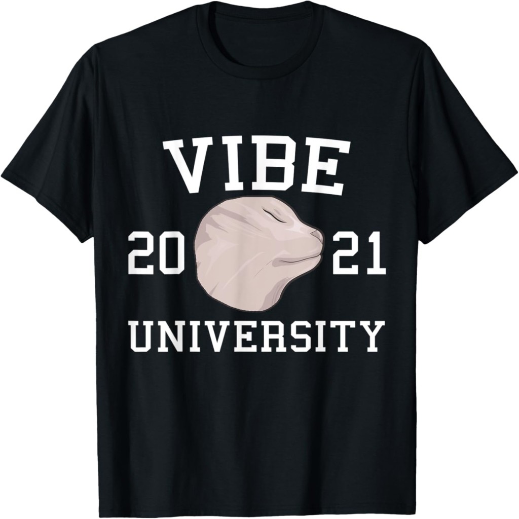 Áo thun Vibe Unrsity Funny Vibing Cat Dank Meme Wo Kids T-Shirt