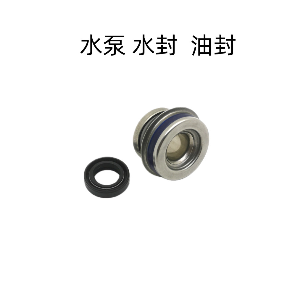 Thích hợp cho xe máy Benda BD300-15-16 Graystone 300 Jinjila 300 Máy bơm nước Con dấu dầu Linh kiện