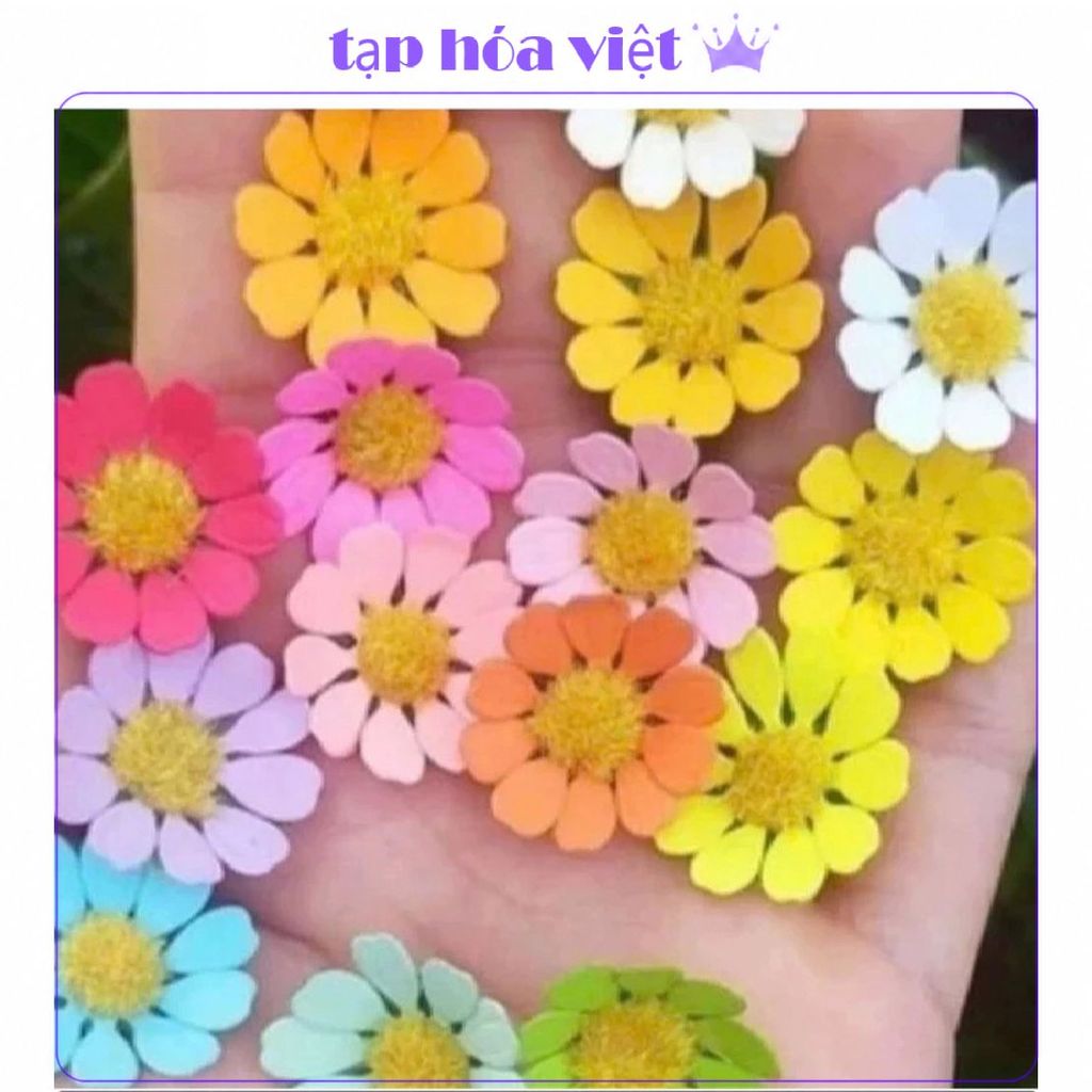 Gói 100 Bông Cúc Nhí_Cánh Ngắn, MIX MÀU