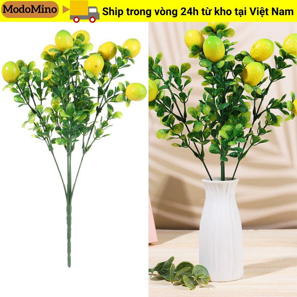 MODOMINO Lemon Branch Farmhouse Garden Lemon Tree Cây cảnh cho gia đình có lá xanh