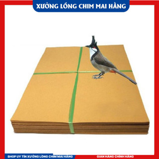  10kg Giấy Lót lồng chim chào mào - Giấy Lót Lồng Đủ Size Vuông,Thái,Sing Loại 1 Không Mùi 