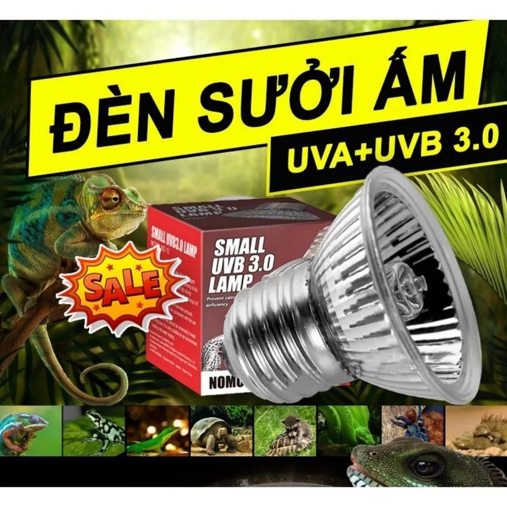 3.0 Mini UVA+UVB,Đèn sưởi, BÒ SÁT, CHÓ MÈO, VẸT GÀ, RÙA NƯỚC-AMLIS