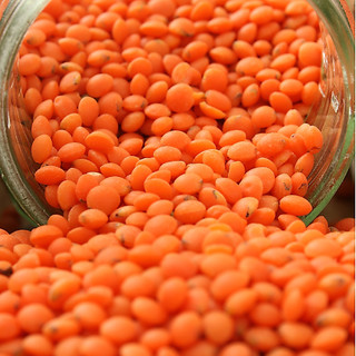 Đậu lăng đỏ sạch giàu protein và chất xơ, không chất bảo quản, không biến đổi gen