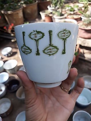 Chậu Gốm Trồng Sen Đá, Xương Rồng