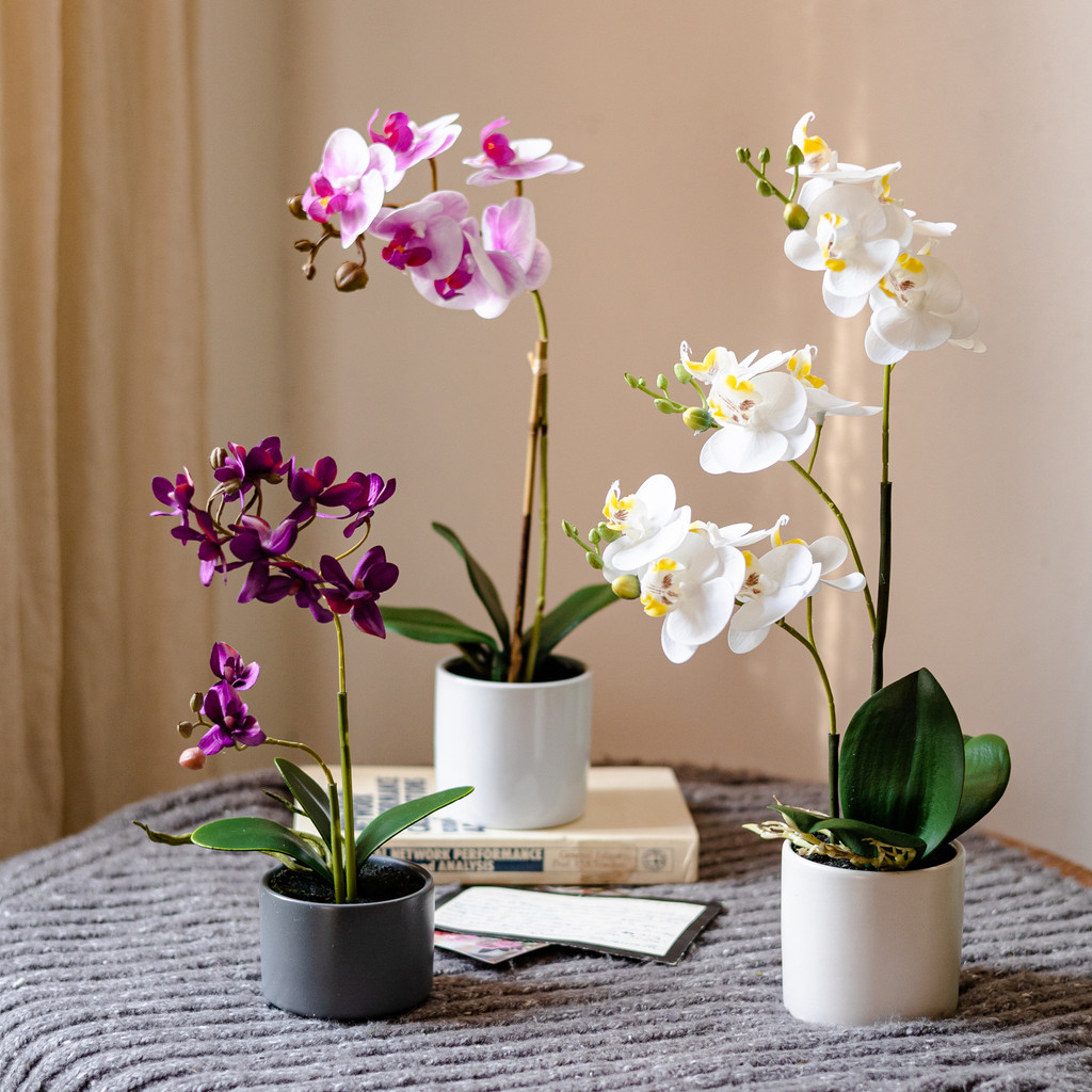 Juhan Phalaenopsis Hoa Nhân Tạo Hoa Lan Cây Cảnh Bộ Phòng Khách Để Bàn Cây Xanh Lối Vào Phòng Khách 