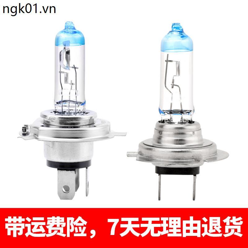 Bóng Đèn Ô Tô Xenon H4H7H1H3 Bóng Đèn Halogen 12V Chùm Cao Thấp Đèn Sương Mù 9005 / 9006 / 9012