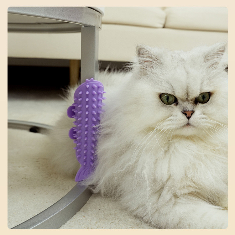 Sản phẩm mới Pet Cat Scratching Scratching Handy Tool Scratching Corner Scratching Device Self-Happy
