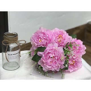 hoa mẫu đơn trang trí nhà cửa