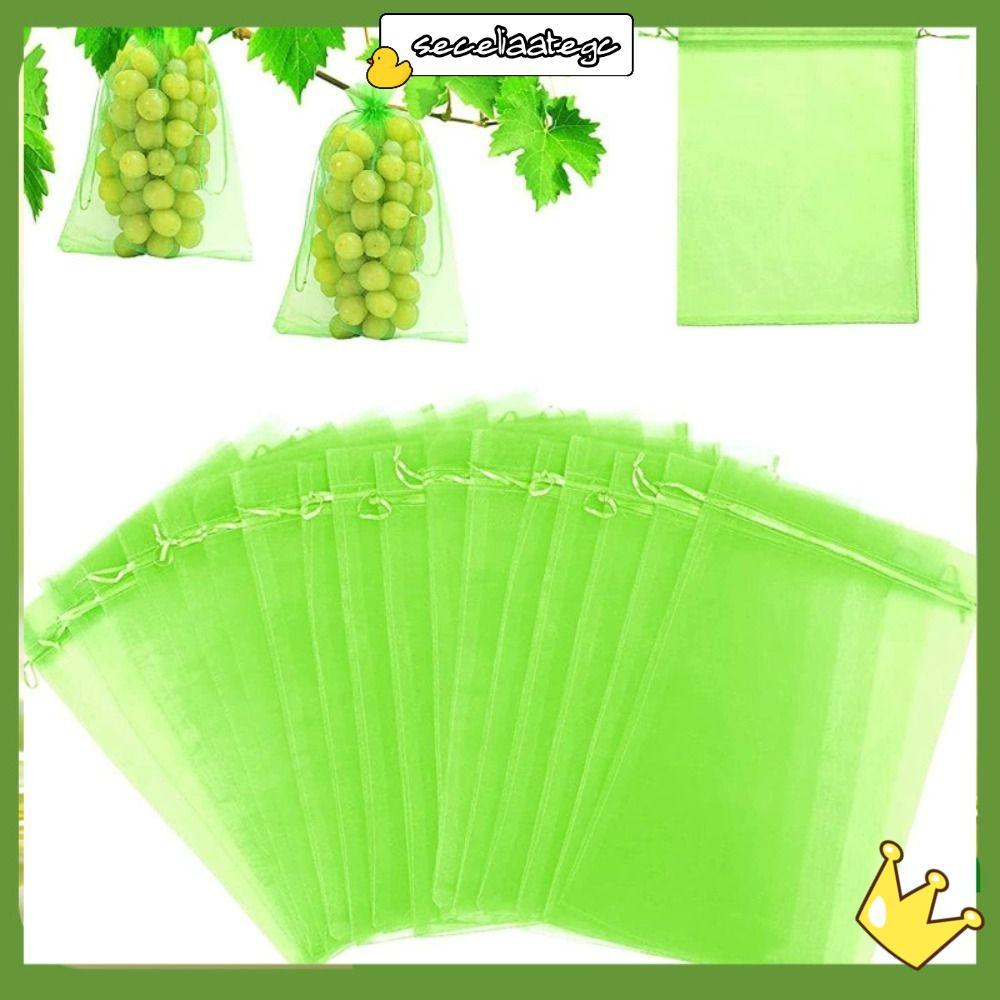 SECELPH 30 Chiếc Túi Trái Cây Chống Côn Trùng Có Thể Tái Sử Dụng Trồng Cây Túi Bảo Vệ Thực Vật Hoa R