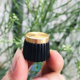 Núm vặn volume Marshall DIY