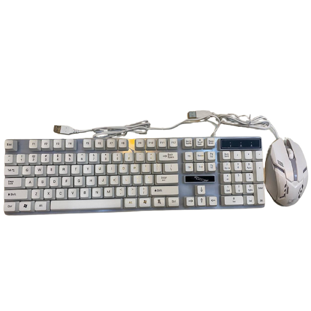 Combo Keyboard + Mouse G21B White LED USB Giả cơ