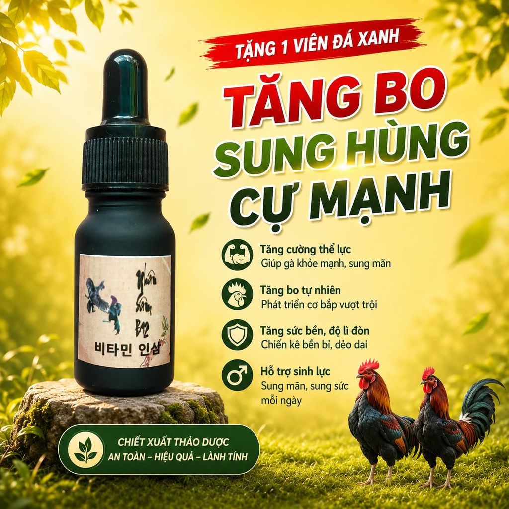 Sâm B12 Chai 10ml Nuôi Gà Chế Độ Đá
