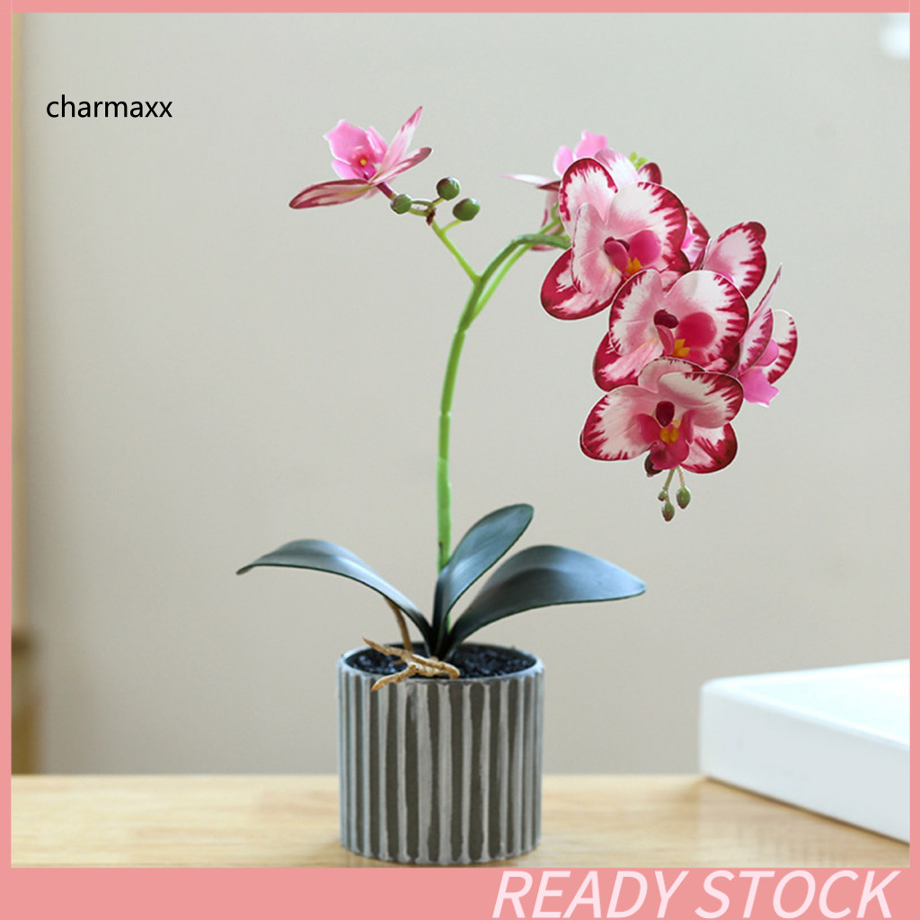 CM Hoa trong chậu nhân tạo Hoa nhựa để sử dụng trong nhà Cây cảnh phong lan Phalaenopsis nhân tạo – 
