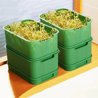  Khay Làm Giá Đỗ Có Nắp Tiện Lợi Hộp Trồng Rau Mầm Tại Nhà Giàn Trồng Rau Sạch Kệ Nuôi Rau Thủy Canh 