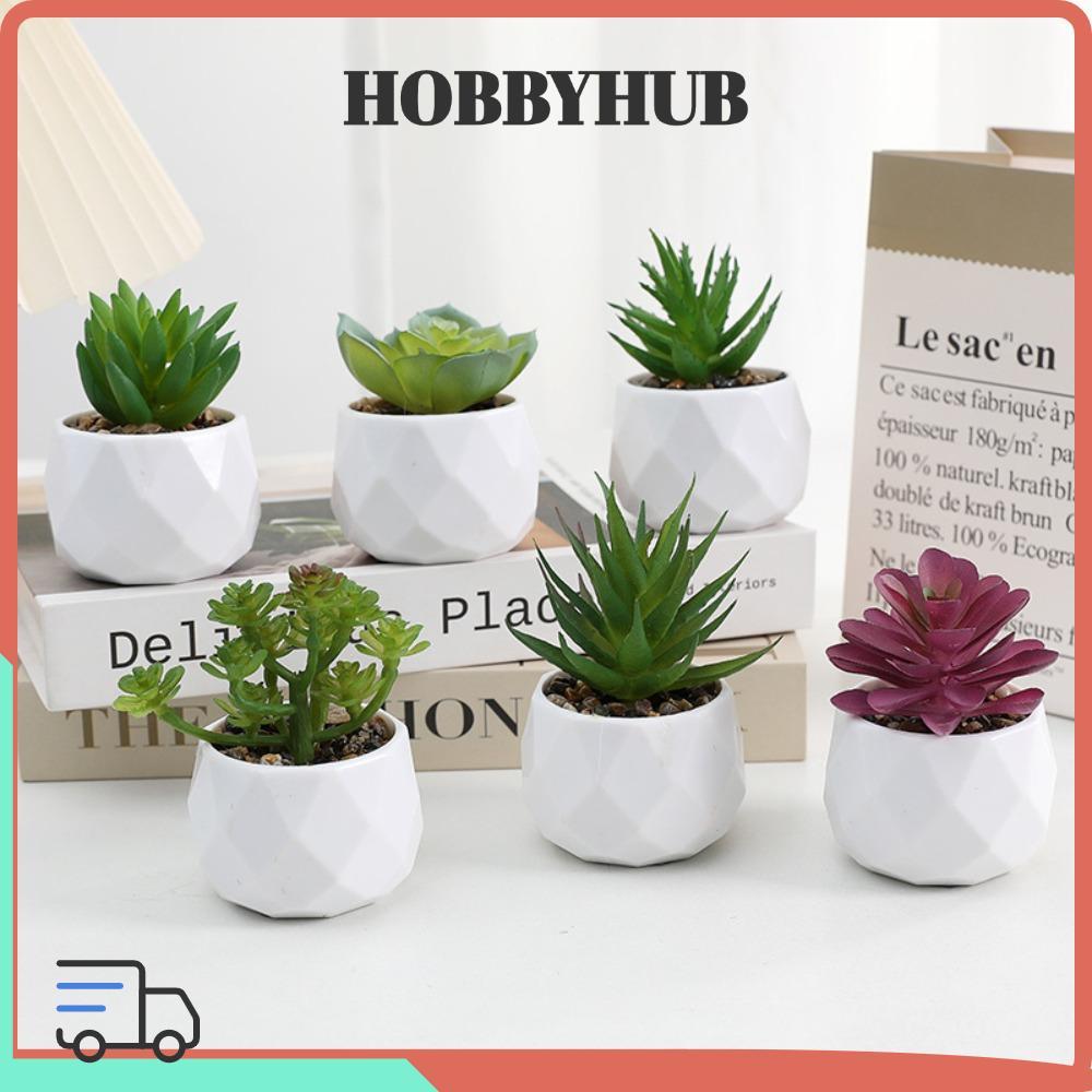 HOBBYHUB Cây trồng trong chậu nhỏ Evergreen Mini Home