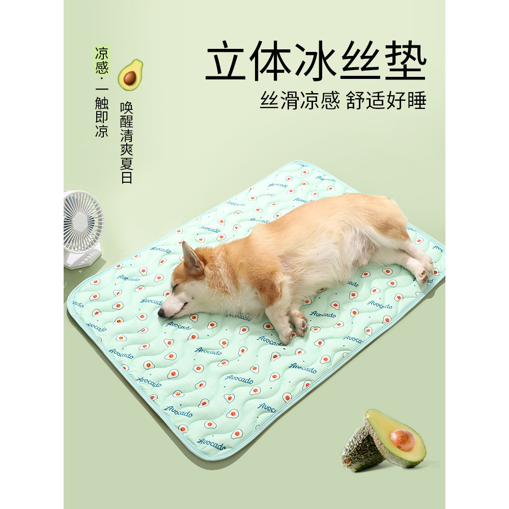 Pet Ice Pad Mùa Hè Miếng Lót Ngủ Ice Silk Dog Cool Pad Làm Mát Mùa Hè Thoáng Khí Corgi Kennel Chống 
