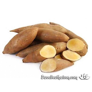 20 Hạt Giống Sâm Đất ( Thổ Sâm ) - (Talinum.Crassifolium,Willd)