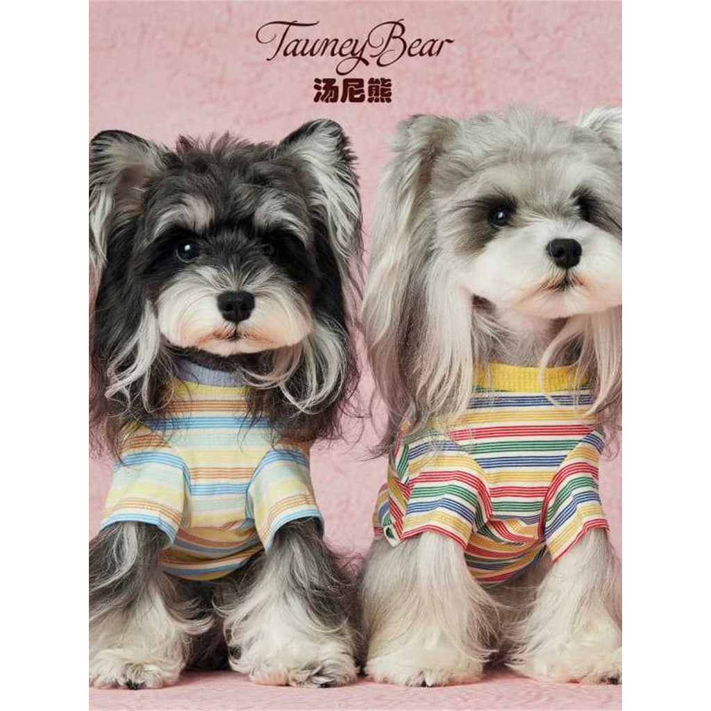 Tony Gấu Con Mèo Quần Áo Mùa Hè Sọc Áo Thun Schnauzer Bichon Pomeranian Chihuahua Dachshund Shiba In