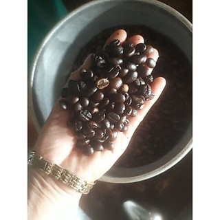 [Kho Sỉ] 1kg cà phê nguyên chất/cafe/cafe robusta