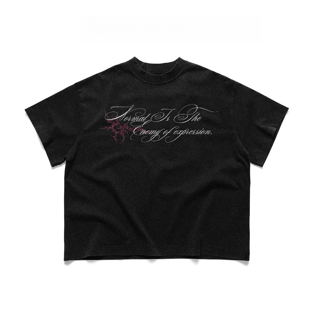 Áo Thun Thời Trang Hitty Studio Normal Is The Enemy Of Expression – Boxy Cotton 100% Streetwear Unis
