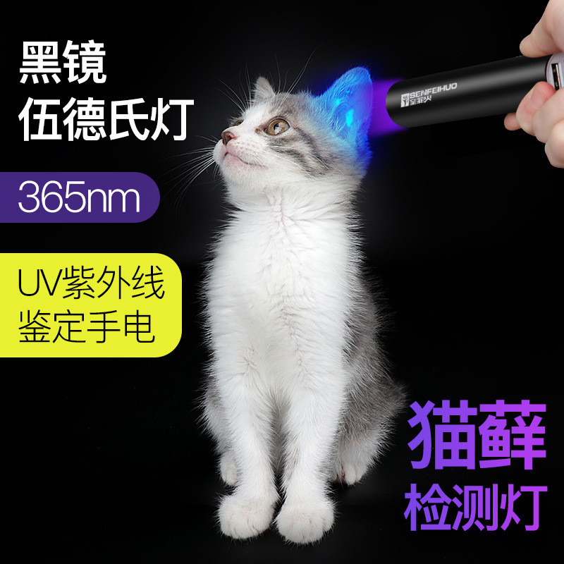 Gỗ Mèo Rêu Đèn Tia Cực tím Laser Dính trêu chọc Mèo Dính Mèo Laser Laser Bút Laser Thú Cưng Nấm Phát