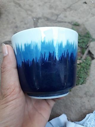 Chậu Gốm Trồng Sen Đá, Xương Rồng