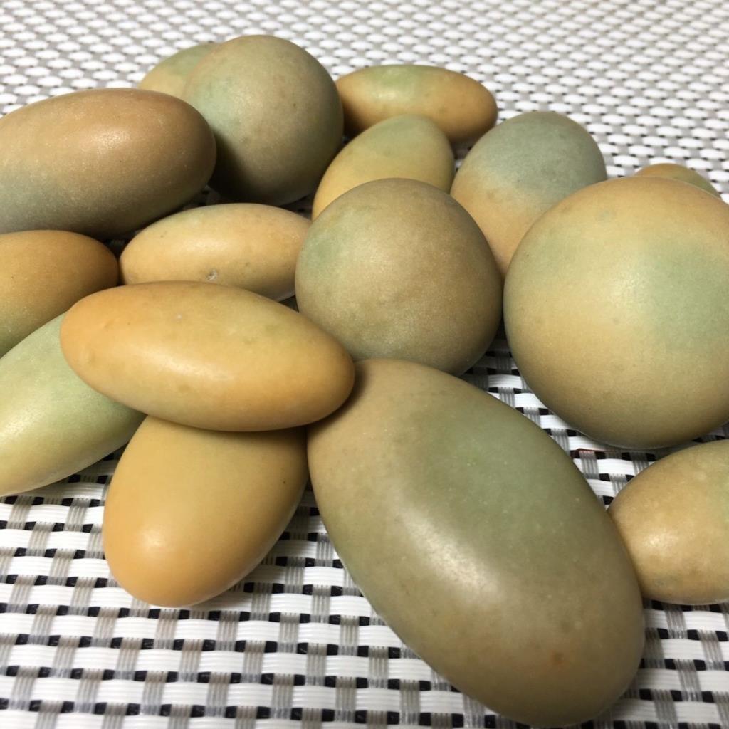 Đá phát sáng tự nhiên nguyên chất Đá thô Fluorite Fluorite Ngọc trai ban đêm Lưu thông vĩnh viễn Hút